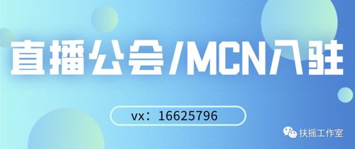 新公司注册抖音公会策略手册 项目策划与公关服务的执行路径